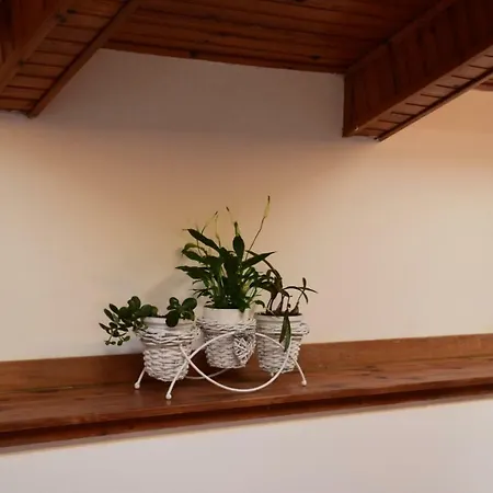 Edoardo Centro Storico Apartment Cervia