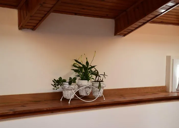 Edoardo Centro Storico דירה קרביה